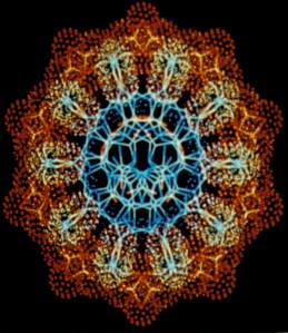DNA-view-along-axis-courtesy-of-Dr.-R.-Langridge