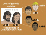 genetic-variation