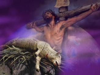 lamb-of-god-passover