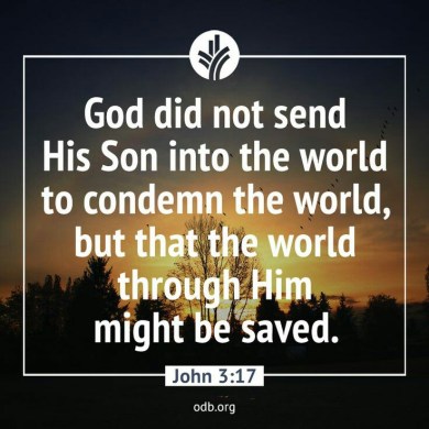 john317