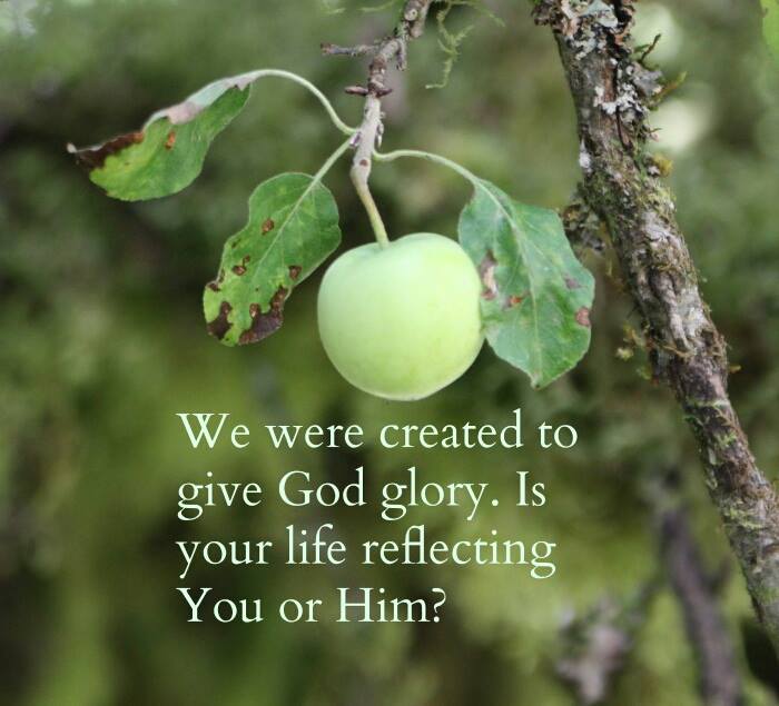 are-you-a-reflection