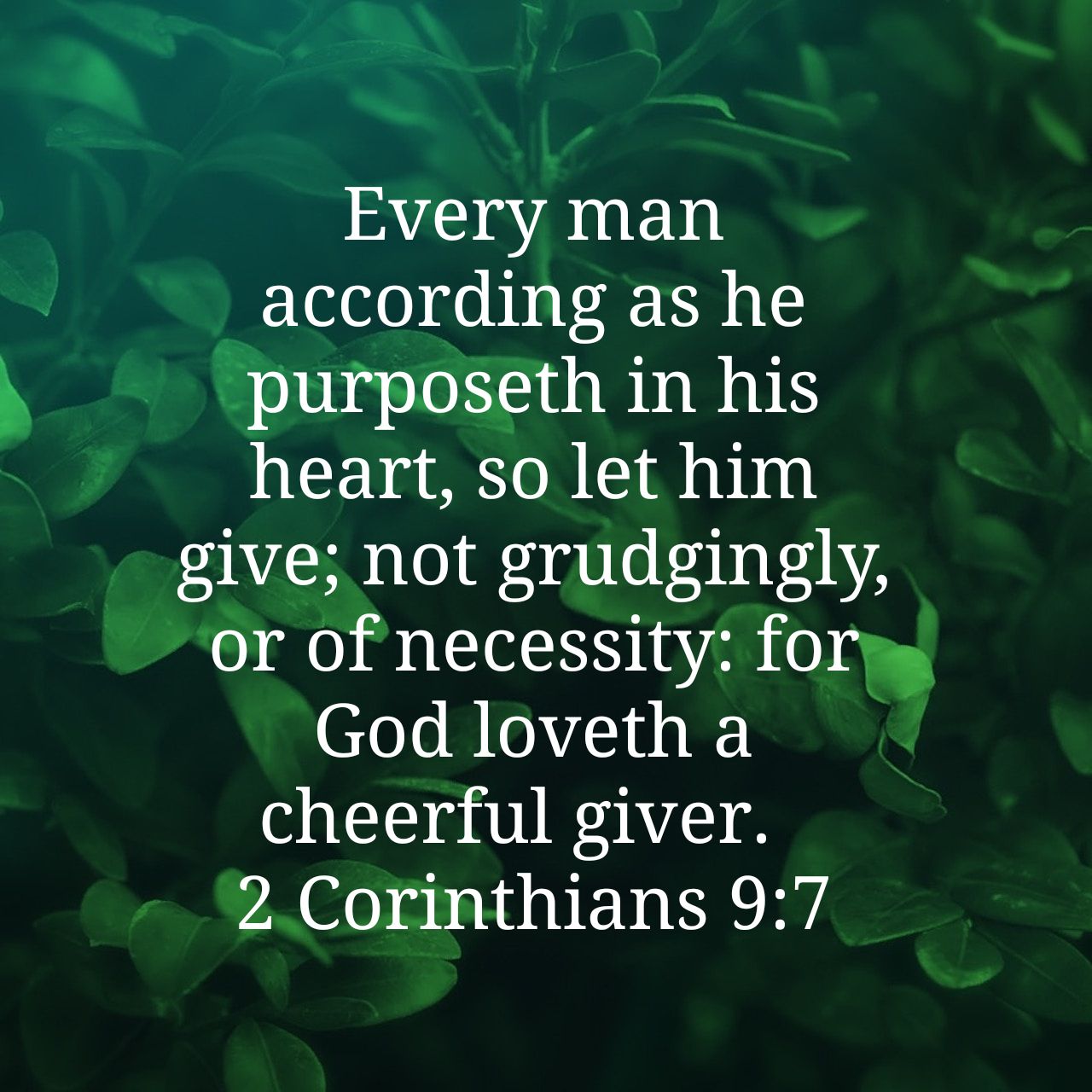 1665926616142_verse_image.jpg