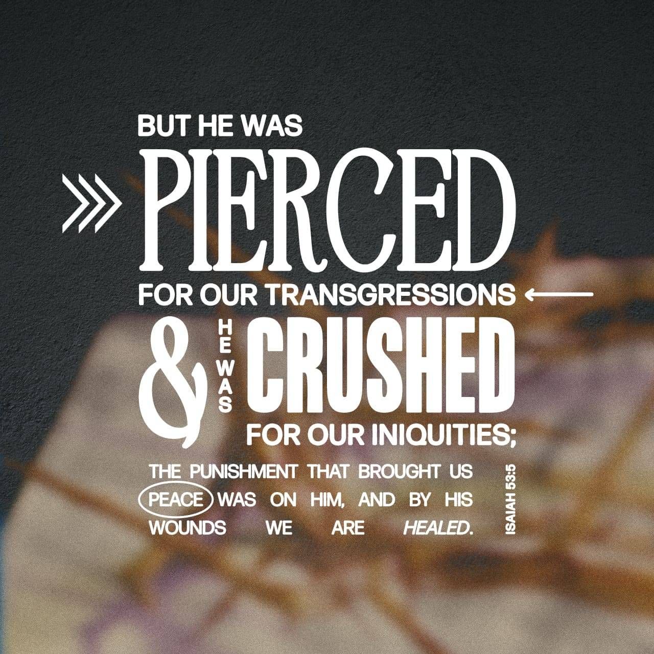 Jesus took the punishment for our sins – The Living Message of Christ