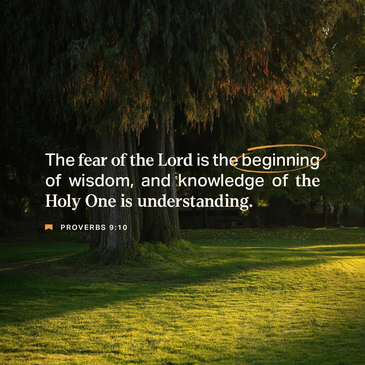 Get wisdom by knowing God – The Living Message of Christ